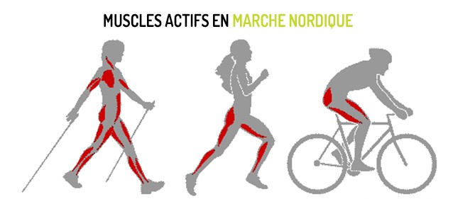 Marche Nordique nov 2015 2